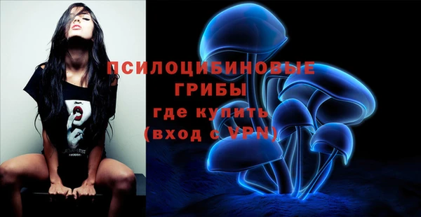 MDMA Premium VHQ Грязовец