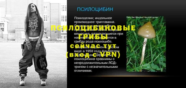 бошки Алексеевка