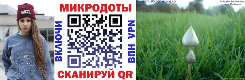 где можно купить наркотик  Анапа  Галлюциногенные грибы мухоморы 
